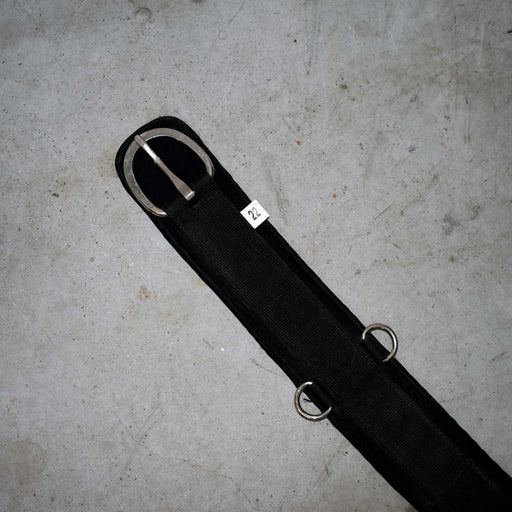 Lightly Used 22" Pony Cinch Sale Barn Mustang