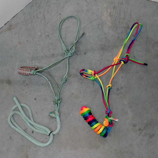 NEW & Used Assorted Braided Nose Band Halter With Lead Set Of 2 Sale Barn misc