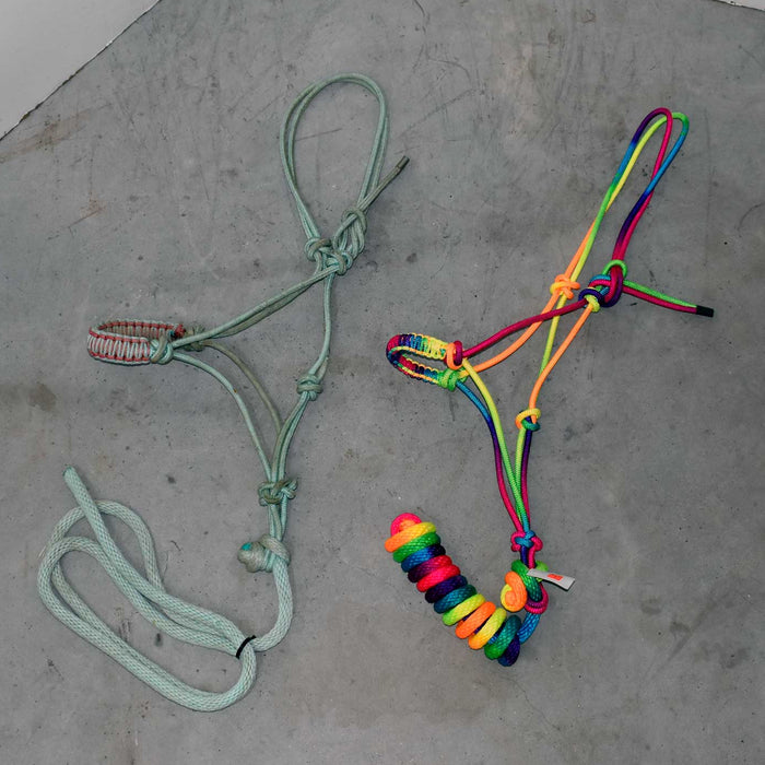 NEW & Used Assorted Braided Nose Band Halter With Lead Set Of 2 Sale Barn misc