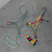 NEW & Used Assorted Braided Nose Band Halter With Lead Set Of 2 Sale Barn misc