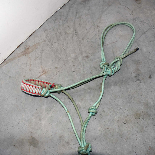 NEW & Used Assorted Braided Nose Band Halter With Lead Set Of 2 Sale Barn misc