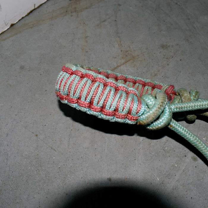 NEW & Used Assorted Braided Nose Band Halter With Lead Set Of 2 Sale Barn misc