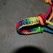 NEW & Used Assorted Braided Nose Band Halter With Lead Set Of 2 Sale Barn misc