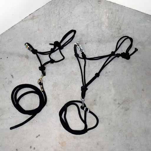 Used Assorted Beaded Noseband Halter With Lead Set Of 2 Sale Barn misc