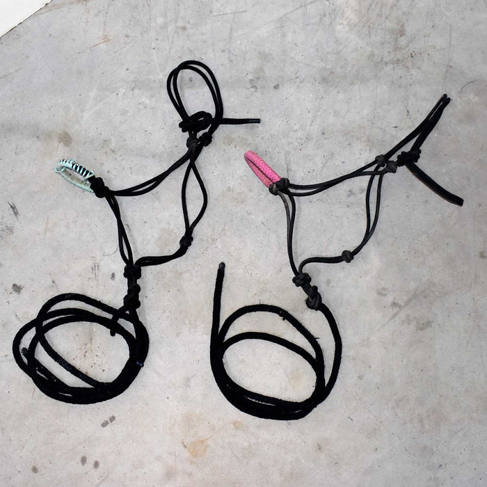 Used Assorted Braided Noseband Halter With Lead Set Of 2 Sale Barn misc