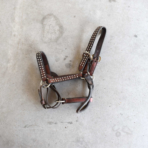 Used Small Leather Halter Sale Barn Teskey's
