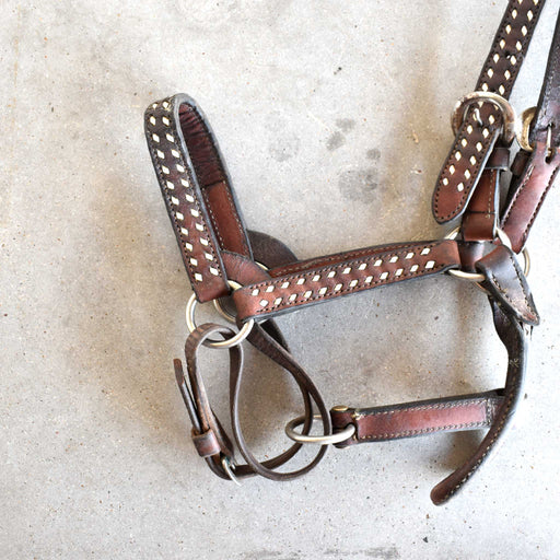 Used Small Leather Halter Sale Barn Teskey's