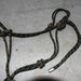 Used Assorted Rope Halter With Lead Set Of 2 Sale Barn misc