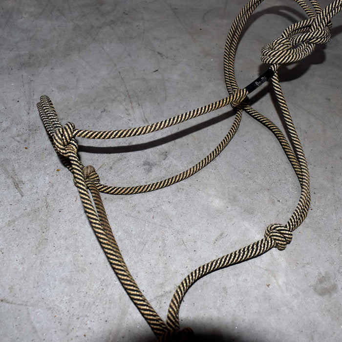Used Assorted Rope Halter With Lead Set Of 2 Sale Barn misc