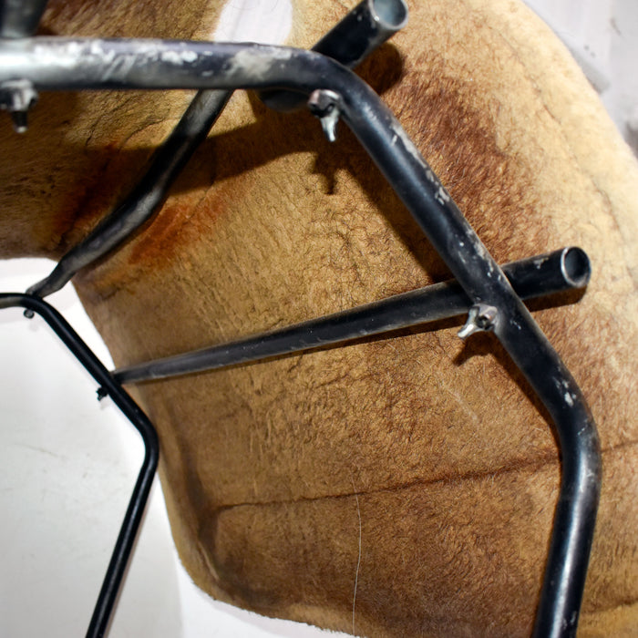 Used Classic Equine Sensorflex Saddle Pad Sale Barn Classic Equine