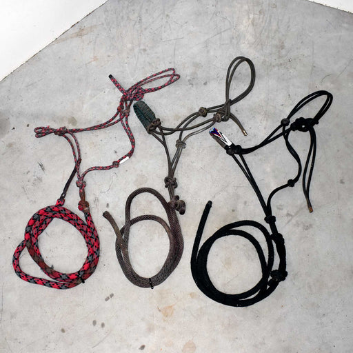 Used Assorted Rope Halter With Lead Set Of 3 Sale Barn misc