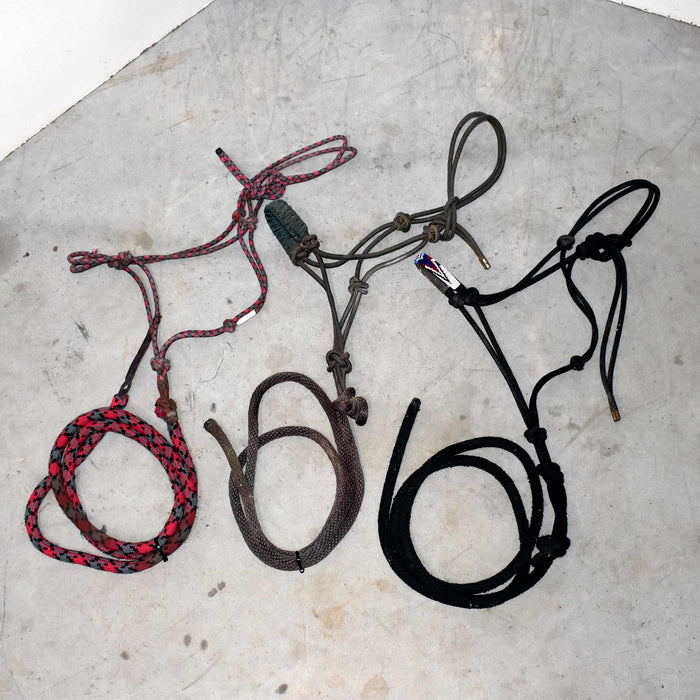 Used Assorted Rope Halter With Lead Set Of 3 Sale Barn misc