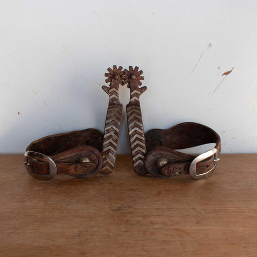 Used Professional Choice Spurs With Cactus Saddlery Spur Straps Sale Barn Professional's Choice