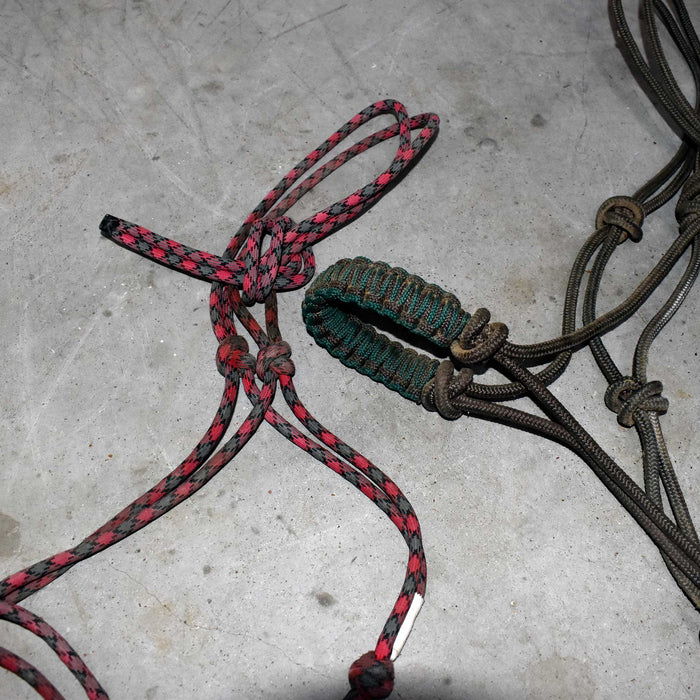 Used Assorted Rope Halter With Lead Set Of 3 Sale Barn misc