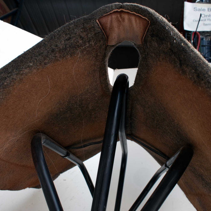 Used Darla Ridley Schneider Saddle Pad Sale Barn Ridley Schneider