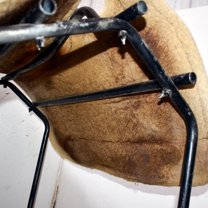 Used Classic Equine Sensorflex Saddle Pad Sale Barn Classic Equine