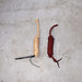 Like NEW Assorted Lead Ropes Set Of 2 Sale Barn misc