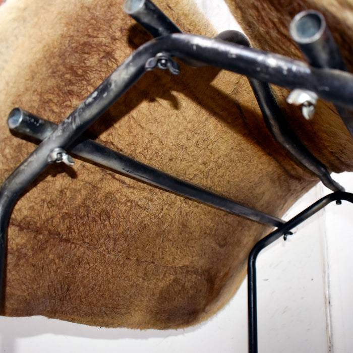 Used Classic Equine Sensorflex Saddle Pad Sale Barn Classic Equine