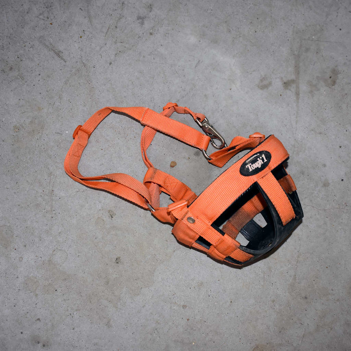 Used Tough 1 Small Grazing Muzzle Sale Barn Tough 1