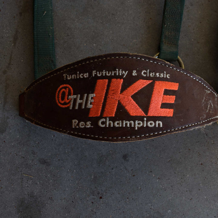 Used Assorted Leather Noseband Halter Set Of 2