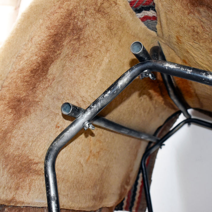 Used Classic Equine Saddle Pad Sale Barn Classic Equine
