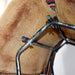 Used Classic Equine Saddle Pad Sale Barn Classic Equine