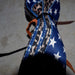 Used Assorted Nylon Straps Set Of 2 Sale Barn whinney wear