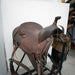 Used 17" Coats Non-Rider Saddle Sale Barn Coats