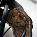 Used 17" Coats Non-Rider Saddle Sale Barn Coats
