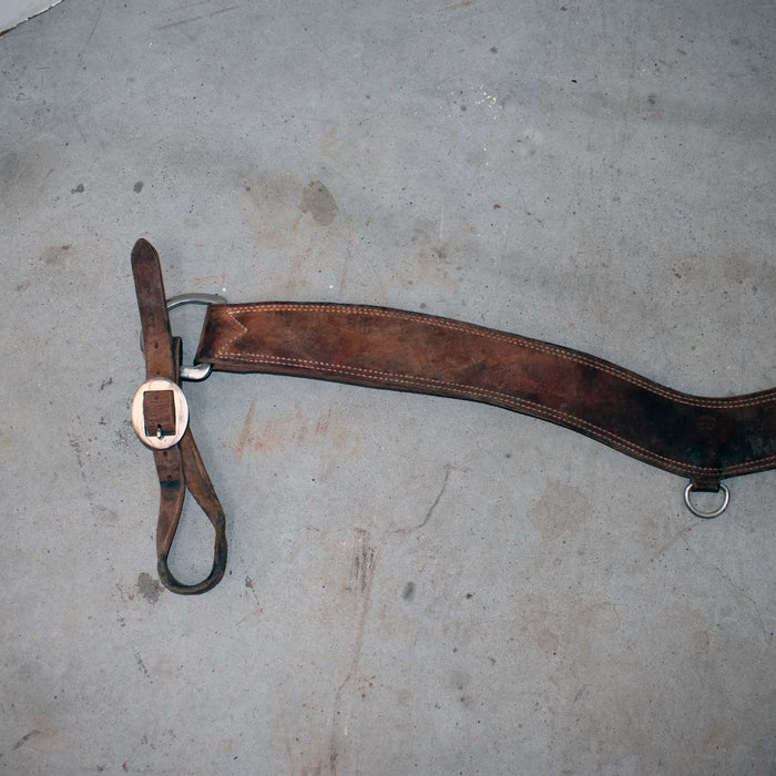 Used Teskey's 36" Tripping Collar Sale Barn Teskey's