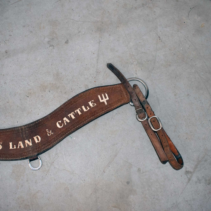 Used Mathews Land & Cattles 30" Tripping Collar Sale Barn misc