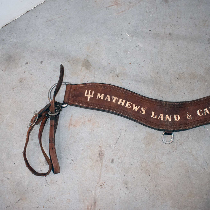 Used Mathews Land & Cattles 30" Tripping Collar Sale Barn misc