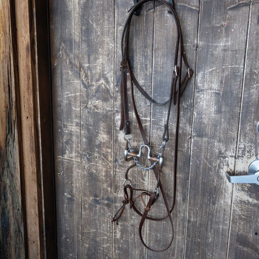 Correction Bridle Rig Sale Barn MISC