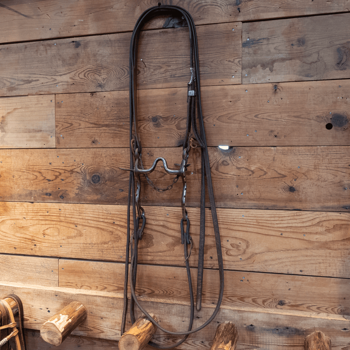 Edmonds Port Bit Bridle Rig
