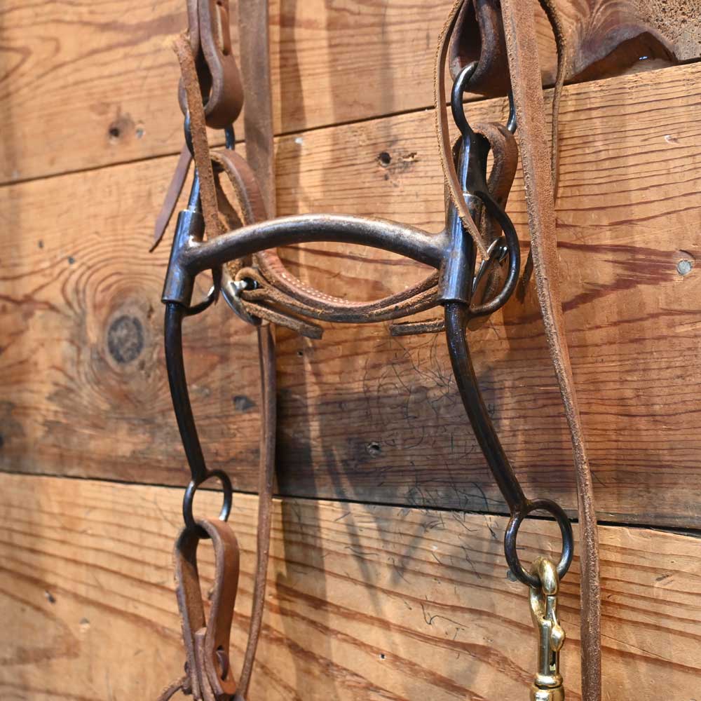 Bridle Rig - Greg Darnell Mullen RIG1025 Tack - Rigs Greg Darnell