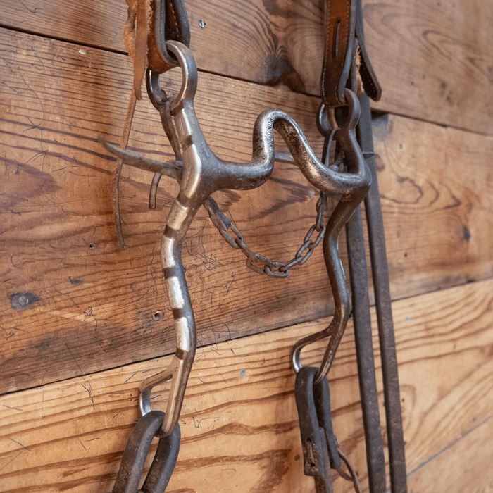 Edmonds Port Bit Bridle Rig