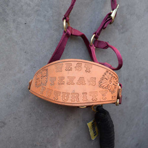 Used Bronc Nose Trophy Halter with Lead Sale Barn Teskeys   