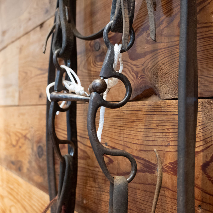 Kerry Kelley 50 Snaffle Bridle Rig