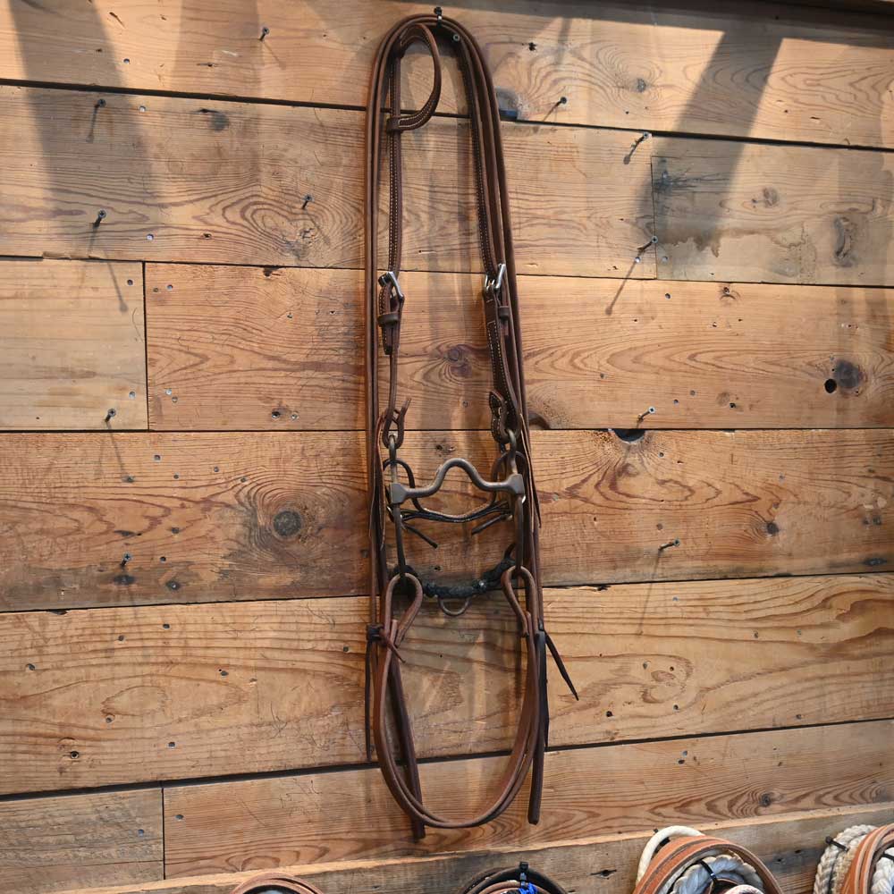 Bridle Rig - Silver Mounted Gary EVANS Solid Port Bit RIG986 Tack - Rigs Gary Evans