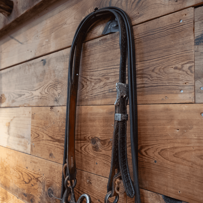 Edmonds Port Bit Bridle Rig