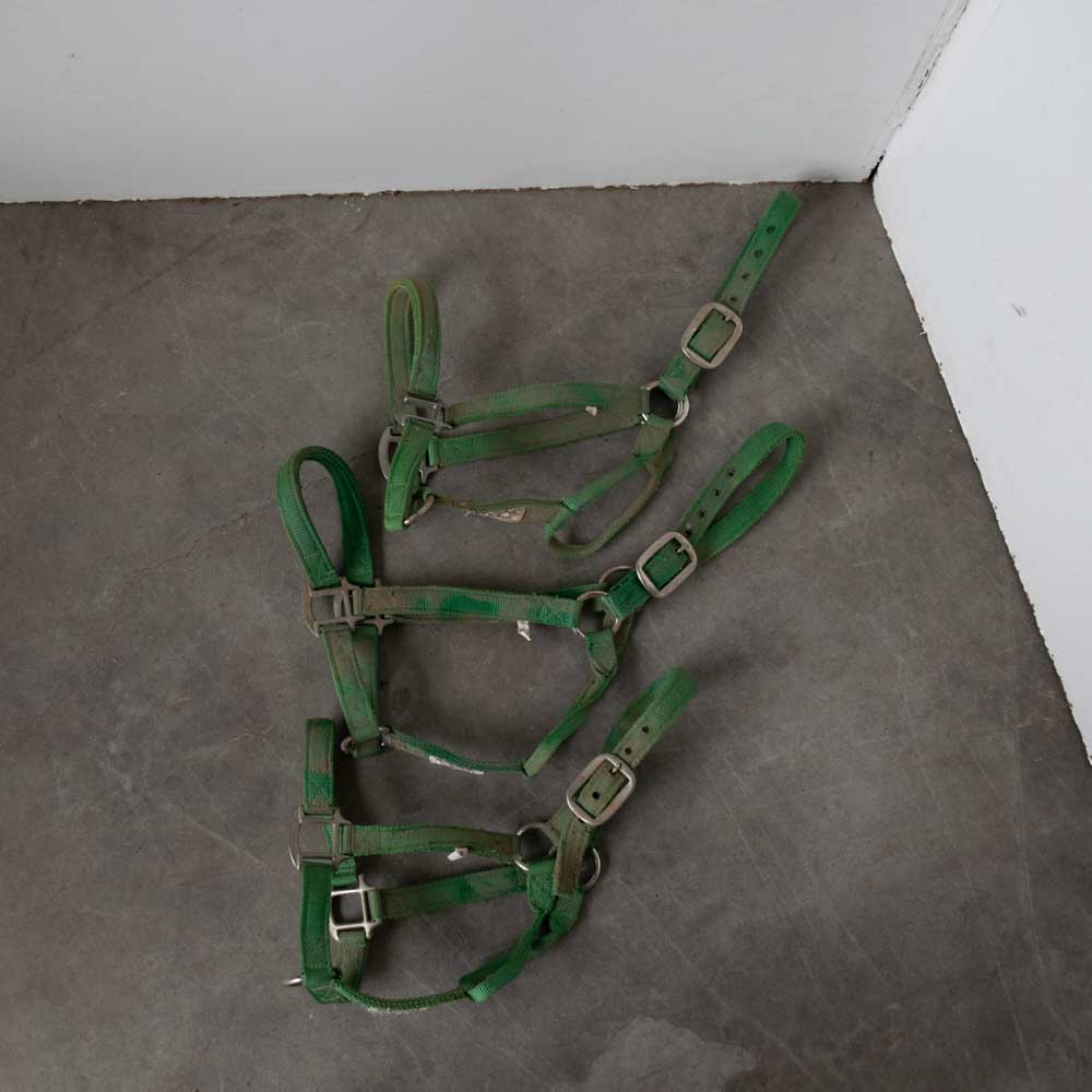 Used Halters Set Of 3 Sale Barn MISC   