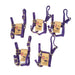 New Set Of 5 Hamilton Average Mini Halters Sale Barn MISC   