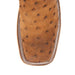 Anderson Bean Women's Brandy Mojave Full Quill Ostrich Boot - Teskey's Exclusive WOMEN - Footwear - Boots - Exotic Boots Anderson Bean Boot Co.   