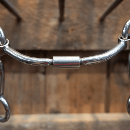 Schoneberg Long Casey Smooth Billy Allen Tack - Bits Schoneberg