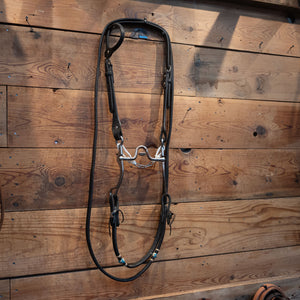 Brandon Anthony Solid Port w/Roller Bridle Rig