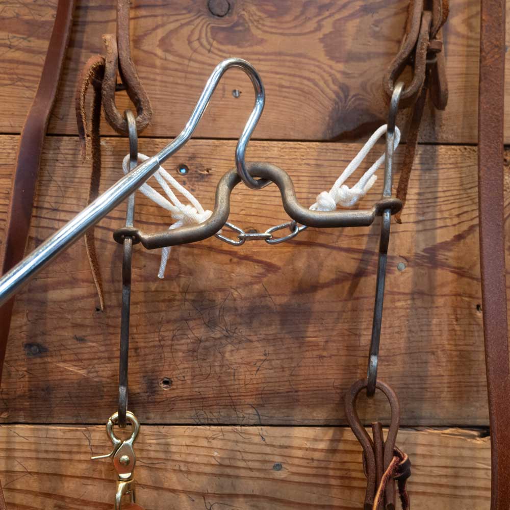 Gordy Albderson Solid Port Gag Bit Bridle Rig