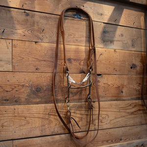 Gordy Albderson Solid Port Gag Bit Bridle Rig