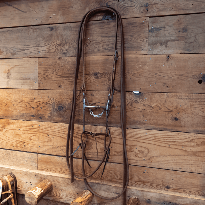 Josh Ownbey Shanked Snaffle Bit Bridle Rig