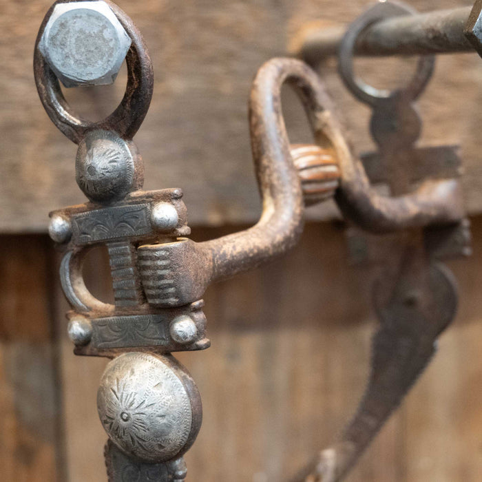 Mexico EG* Medium Port Buckle Bit