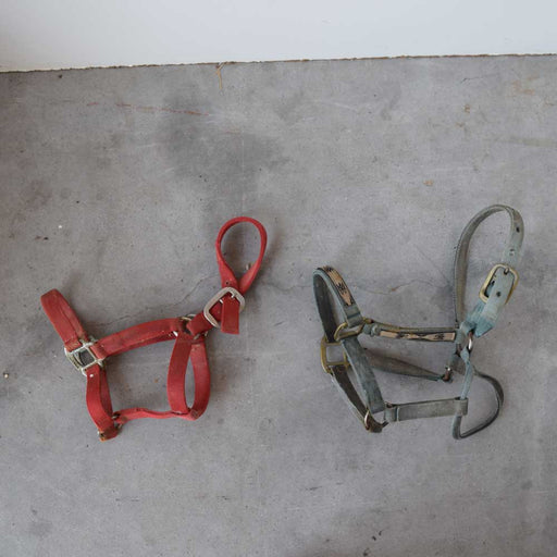Used Halters Set Of 2 Sale Barn Sale Barn   